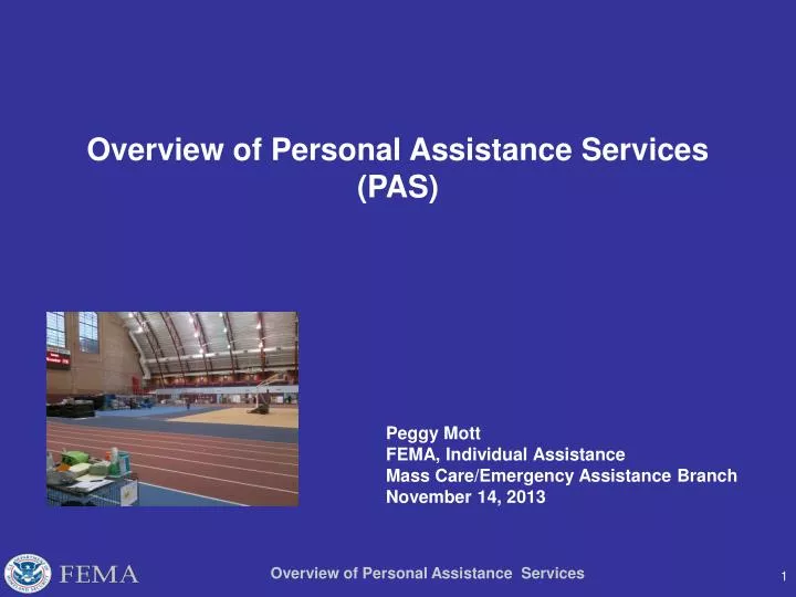 overview of personal assistance services pas