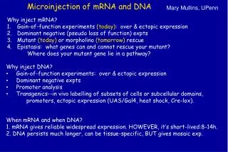 Microinjection of mRNA and DNA