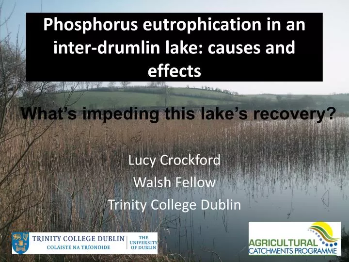 phosphorus eutrophication in an inter drumlin lake causes and effects