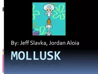 MOLLUSK