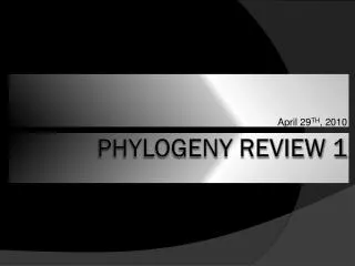 Phylogeny Review 1