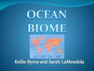 OCEAN BIOME