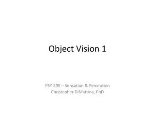 Object Vision 1