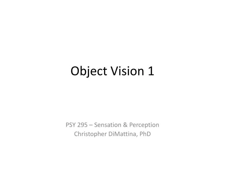 object vision 1