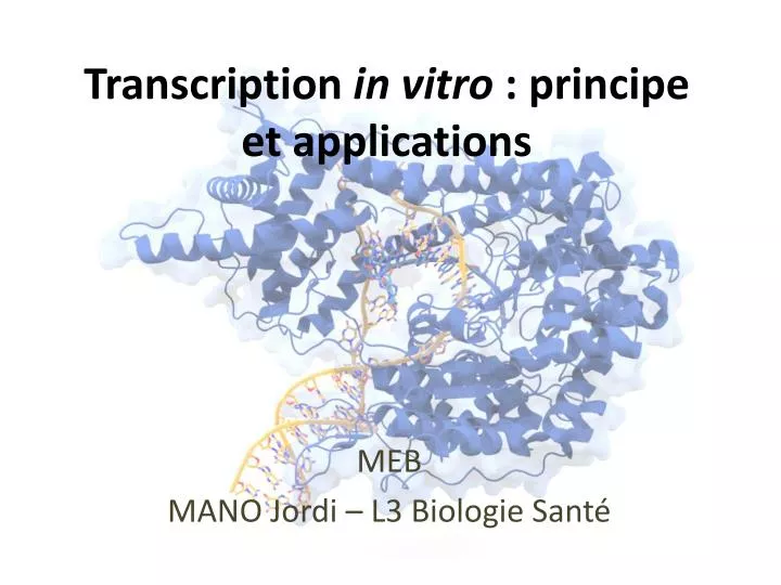 transcription in vitro principe et applications
