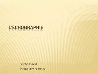 sacha david pierre olivier blais