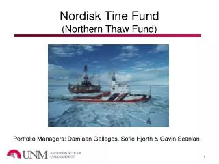 Nordisk Tine Fund (Northern Thaw Fund)