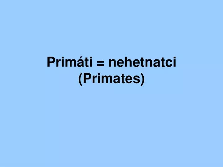 prim ti nehetnatci primates