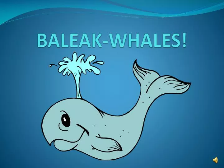 baleak whales