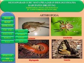 MUSYAWARAH GURU MATA PELAJARAN BIOLOGI SMA/MA KABUPATEN BRLITUNG SEKRETARIAT: SMAN1 ANJUNGPANDAN