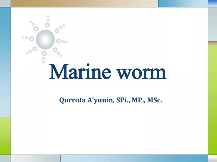 marine worm