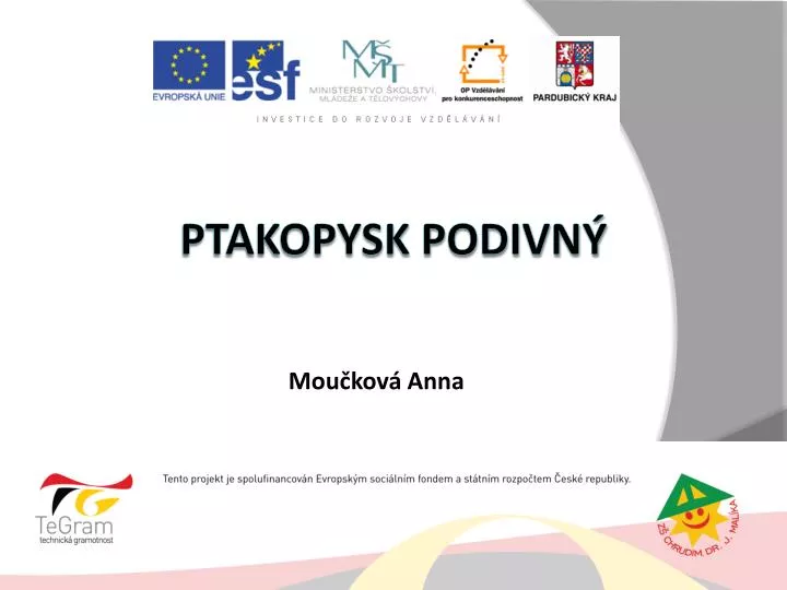 ptakopysk podivn