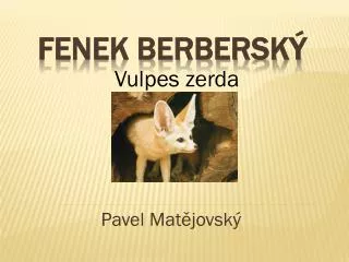 pavel mat jovsk