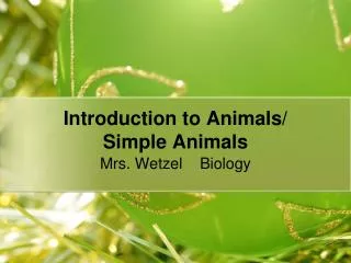 Introduction to Animals/ Simple Animals