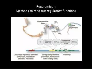 Regulomics I: Methods to read out regulatory functions