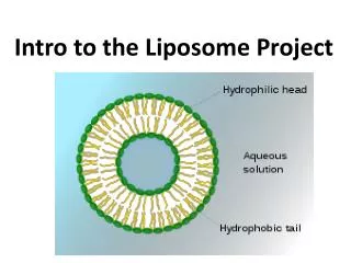 Intro to the Liposome Project