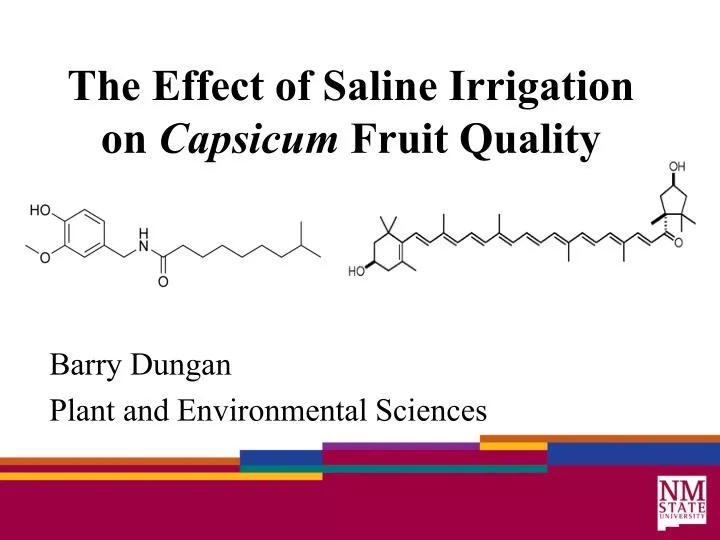 the effect of saline irrigation on capsicum fruit quality