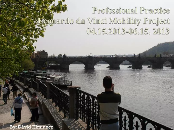 professional practice leonardo da vinci mobility project 04 15 2013 06 15 2013