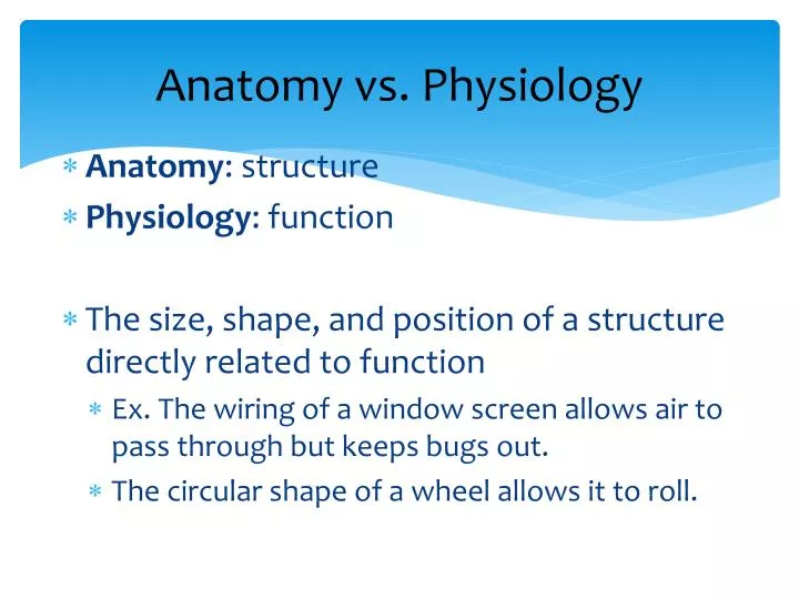 anatomy vs physiology