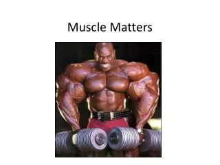 Muscle Matters