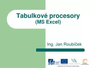 tabulkov procesory ms excel