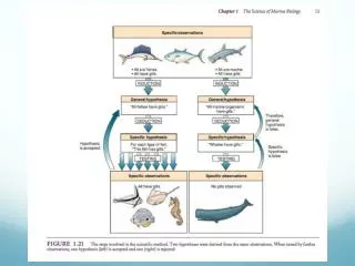 The Science of Marine Biology