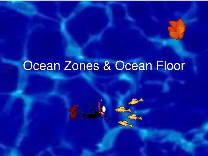 ocean zones ocean floor