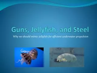 Guns, Jellyfish, and Steel