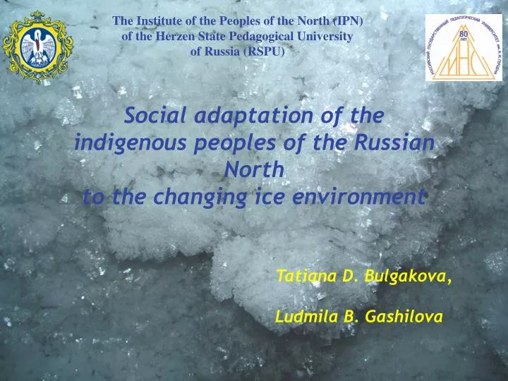 social adaptation of the indigenous peoples of the russian north to the changing ice environment