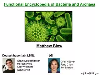 Functional Encyclopedia of Bacteria and Archaea