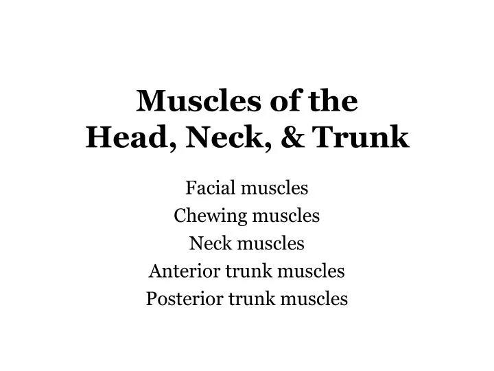 muscles of the head neck trunk