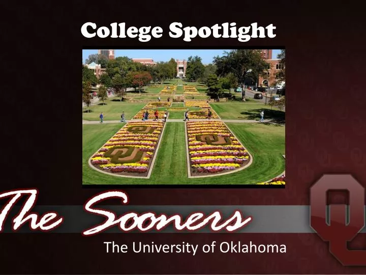 college spotlight