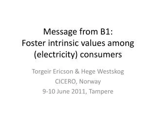 Message from B1: Foster intrinsic values among (electricity) consumers