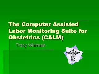 The Computer Assisted Labor Monitoring Suite for Obstetrics (CALM)