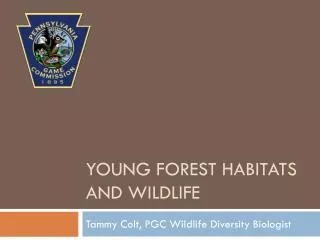 Young forest habitats and wildlife