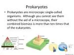 Prokaryotes - slide 1