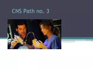 CNS Path no. 3
