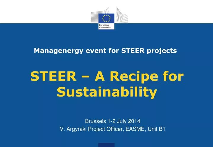 steer a recipe for sustainability