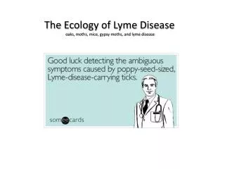 The Ecology of Lyme Disease o aks, moths, mice, gypsy moths, and lyme disease