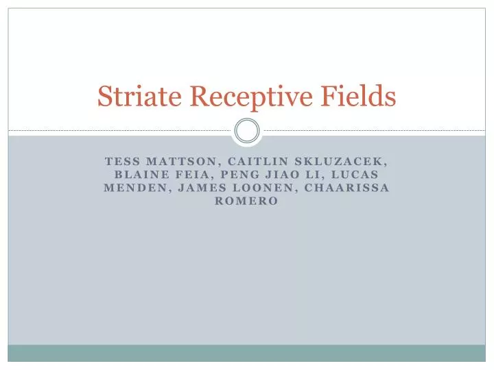 striate receptive fields