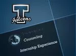 Internship Experience in School Counseling: Responsibilities and Tasks Overview - slide 1