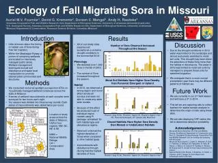 Ecology of Fall Migrating Sora in Missouri