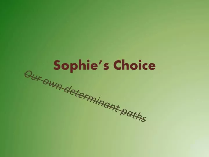 sophie s choice