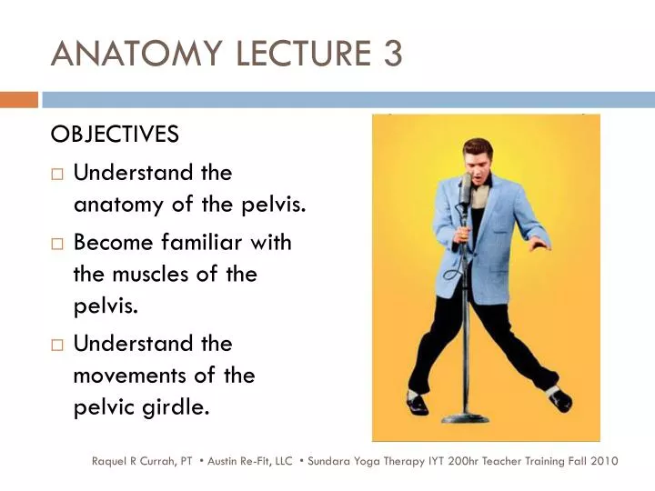 anatomy lecture 3