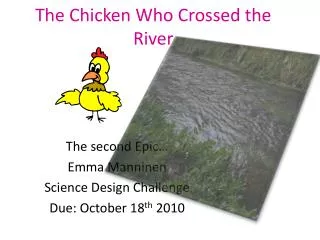 The Chicken Who Crossed the River