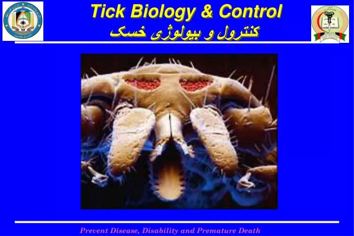 tick biology control