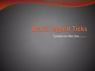 Black legged Ticks
