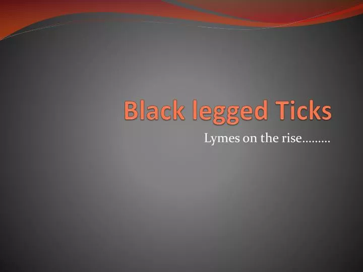 black legged ticks