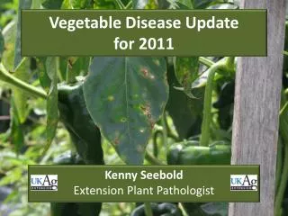 Vegetable Disease Update for 2011