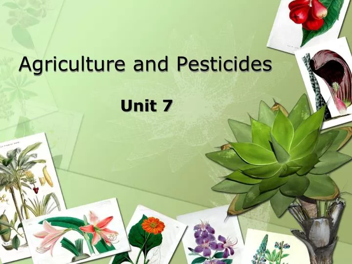 agriculture and pesticides